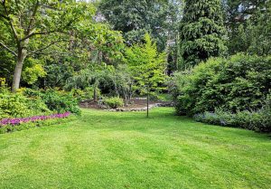 Optimiser l'expérience du jardin à Camps-la-Source