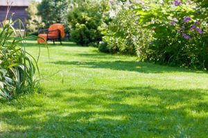 travaux jardin et paysage Camps-la-Source